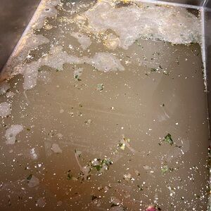 Meet your Posher, Ethan